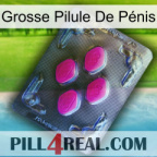 Grosse Pilule De Pénis 02